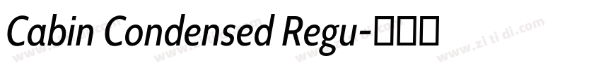 Cabin Condensed Regu字体转换